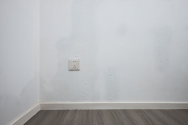 Water and Mold Damage Remediation